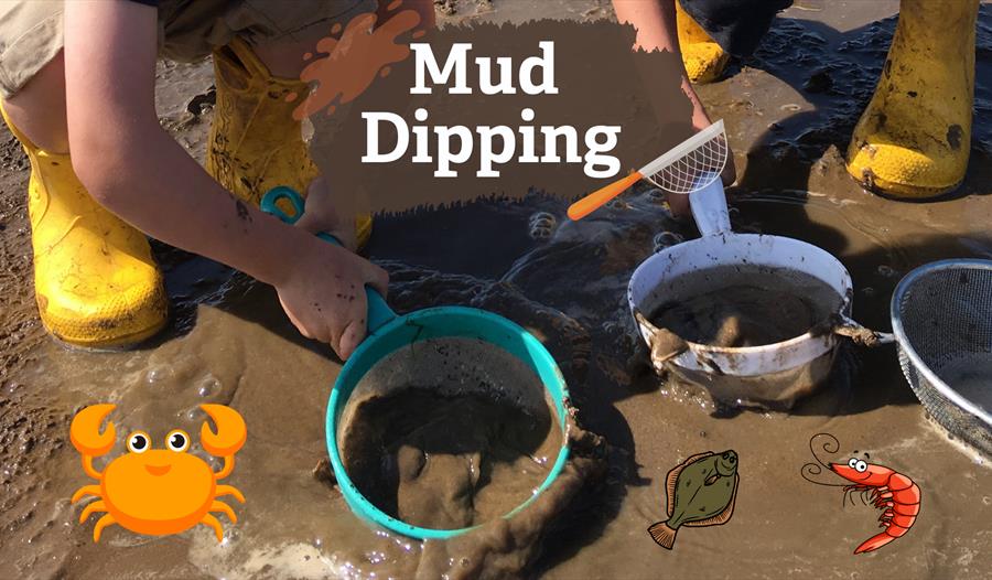 Mud Dipping