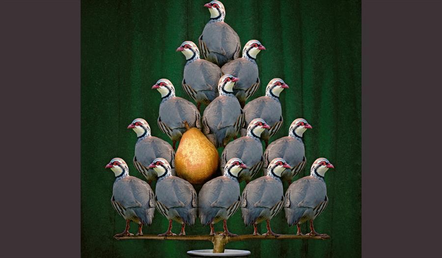 A Pear in a Partridge Tree by Richard O'Meara, one of the pictures on display at the affordable art fair.