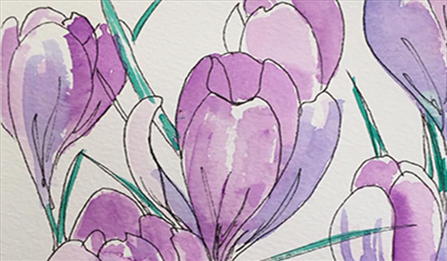 Pen and Wash Spring Flowers with Jean Palmer