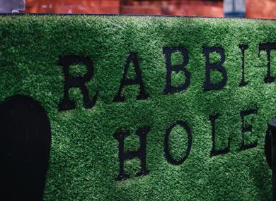 Rabbit Hole branding