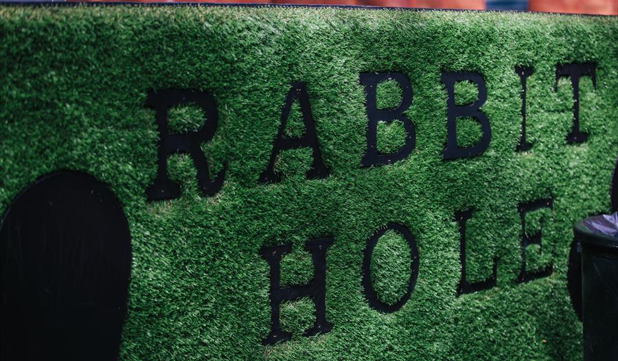 Rabbit Hole branding