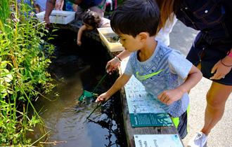 Pond Dipping at WWT Martin Mere