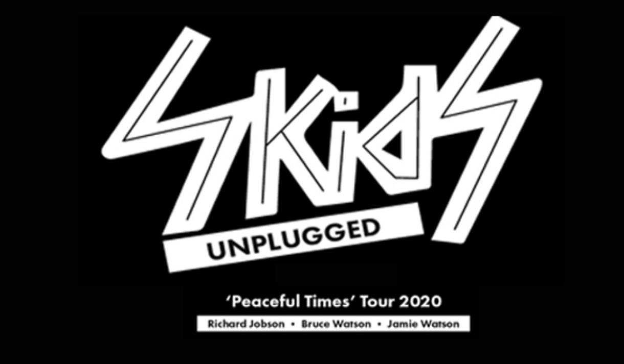The Skids (Unplugged)