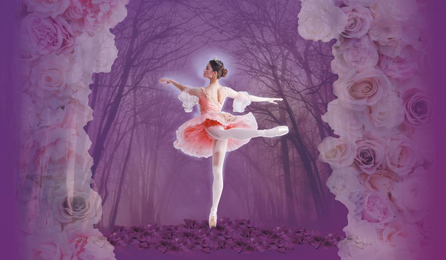 Sleeping Beauty - Ballet