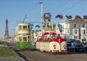 Colourful heritage trams passing each other on the promenade at Blackpool on a sunny day.  Blackpool Tower is in the background.