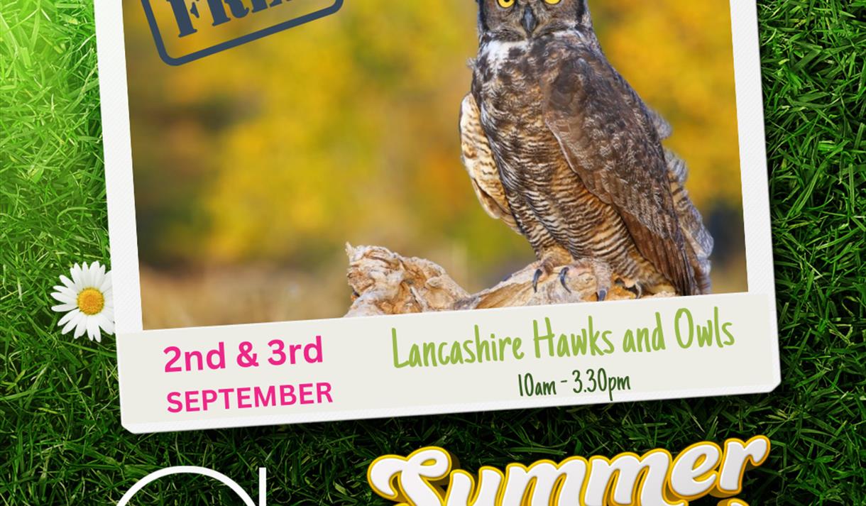 Lancashire Hawks and Owls at Affinity Lancashire