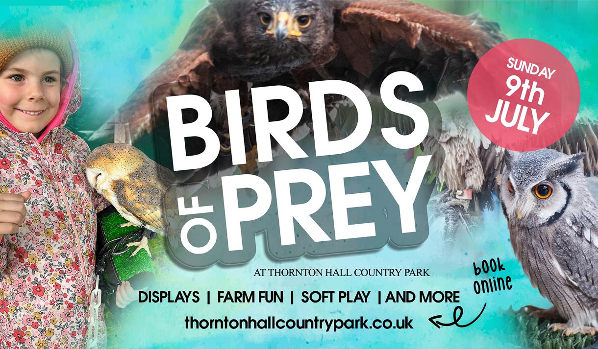 Birds of Prey at Thornton Hall Country Park
