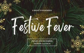 Festive Fever Christmas Party Night