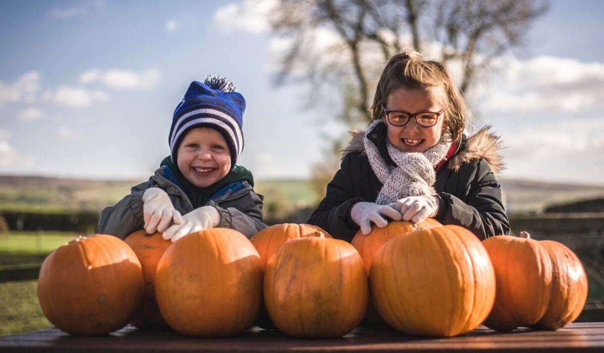 Halloween and Pumpkin Picking Patch at Thornton Hall Country Park