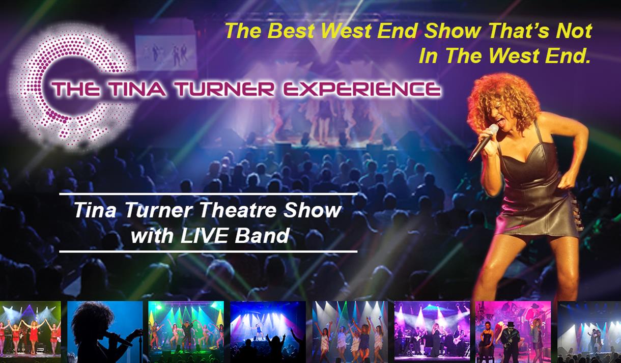Tina Turner experience promotional poster