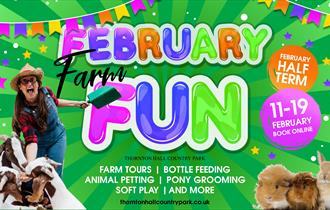 February Farm Fun at Thornton Hall Country Park