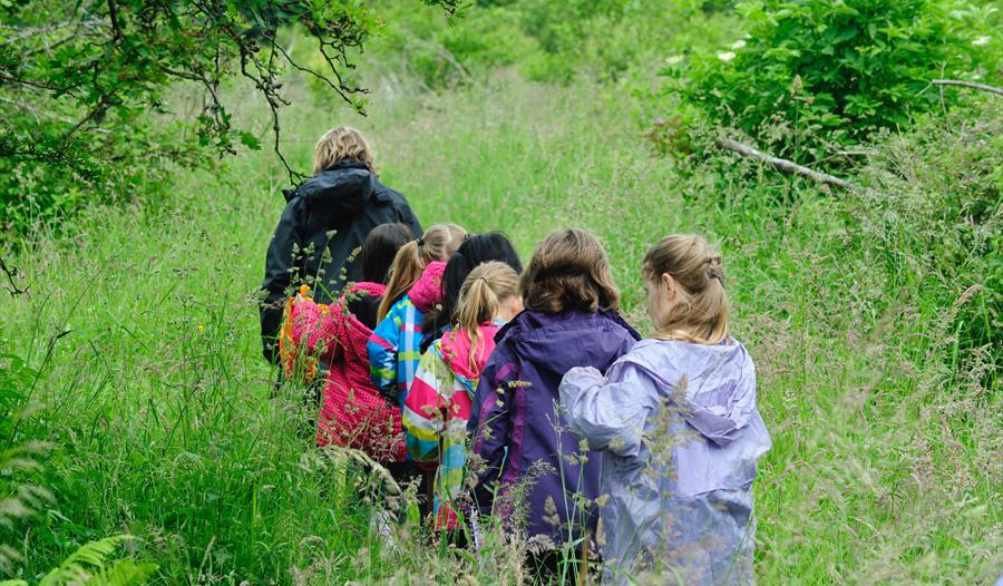 Free Family Nature Events - Flower Power