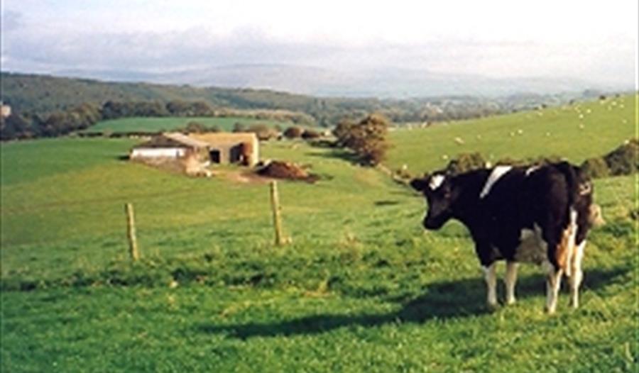 Brades Farm Dairy
