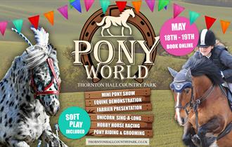 Pony World