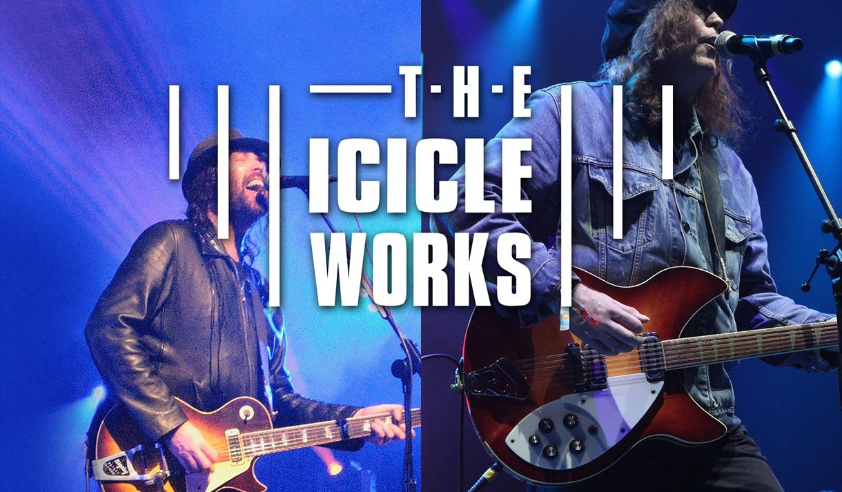 icicle works tour