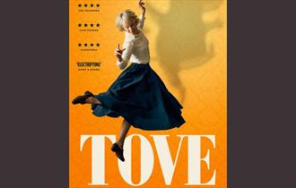 The film poster.  The main character is jumping in the air with an orange background.