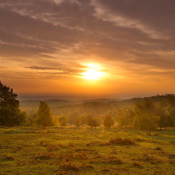 Parks & Green Spaces - Visit Leicester