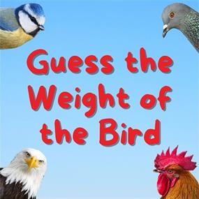 Guess The Weight Of The Bird