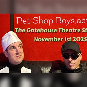 Pet Shop Boys, Actually