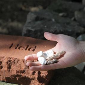 'Held' by Nisha Duggal