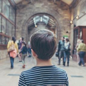 Child looking around a museum