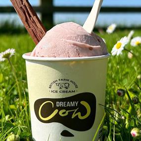Dreamy Cow ice cream tub in a field