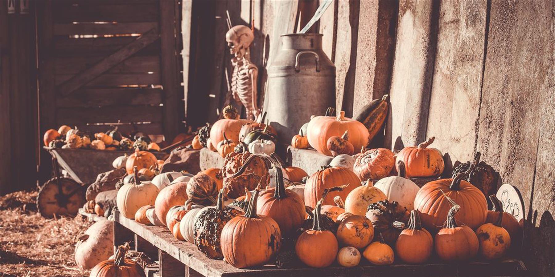 Hidden Objects Halloween Haunted Horror Mystery – Fall Pumpkin