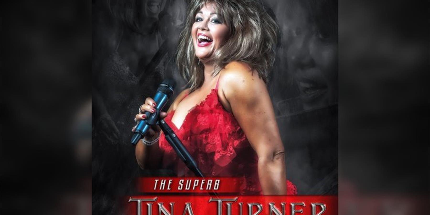 Tina Turner Tribute