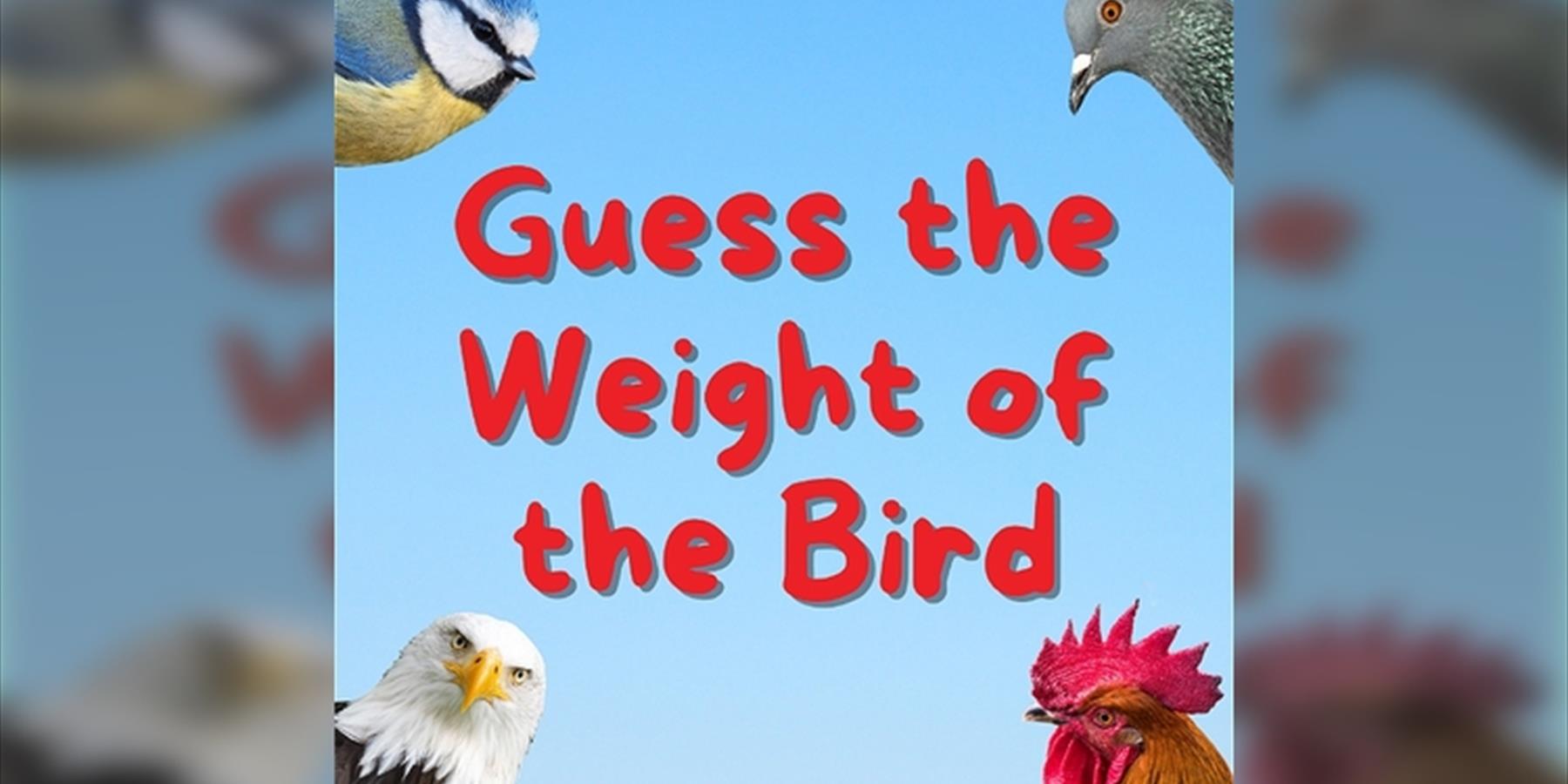 Guess The Weight Of The Bird