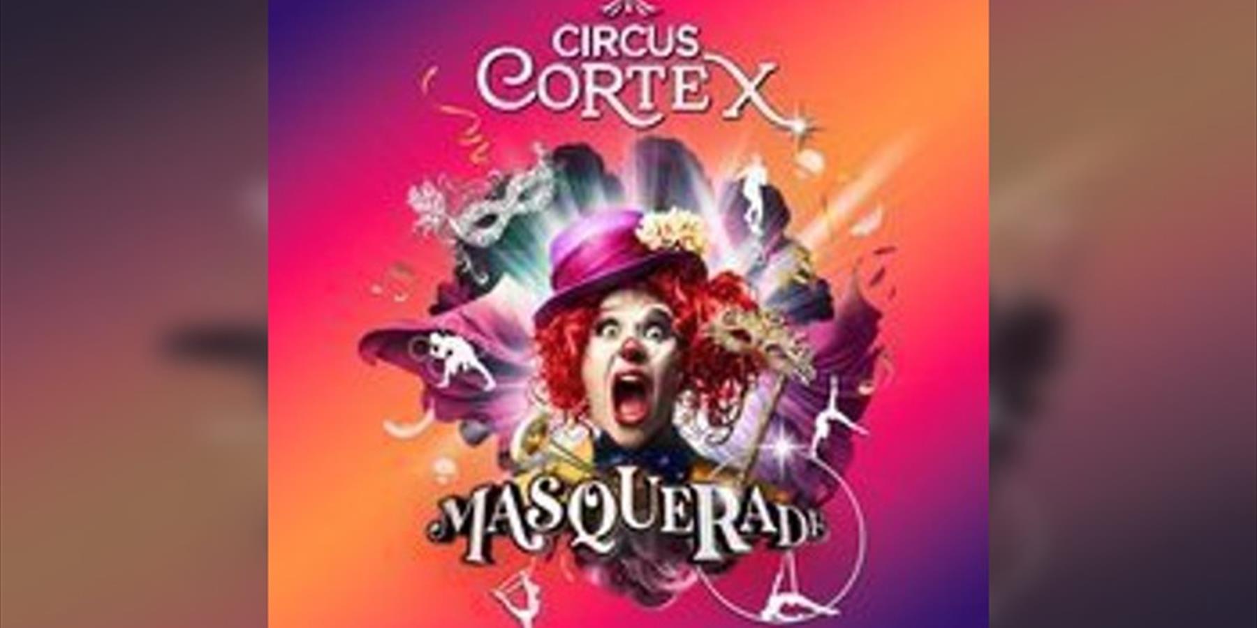 Circus Cortex at Leicester