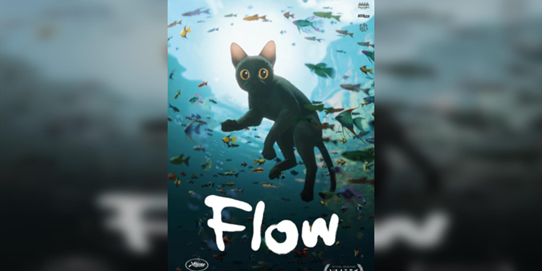 Flow