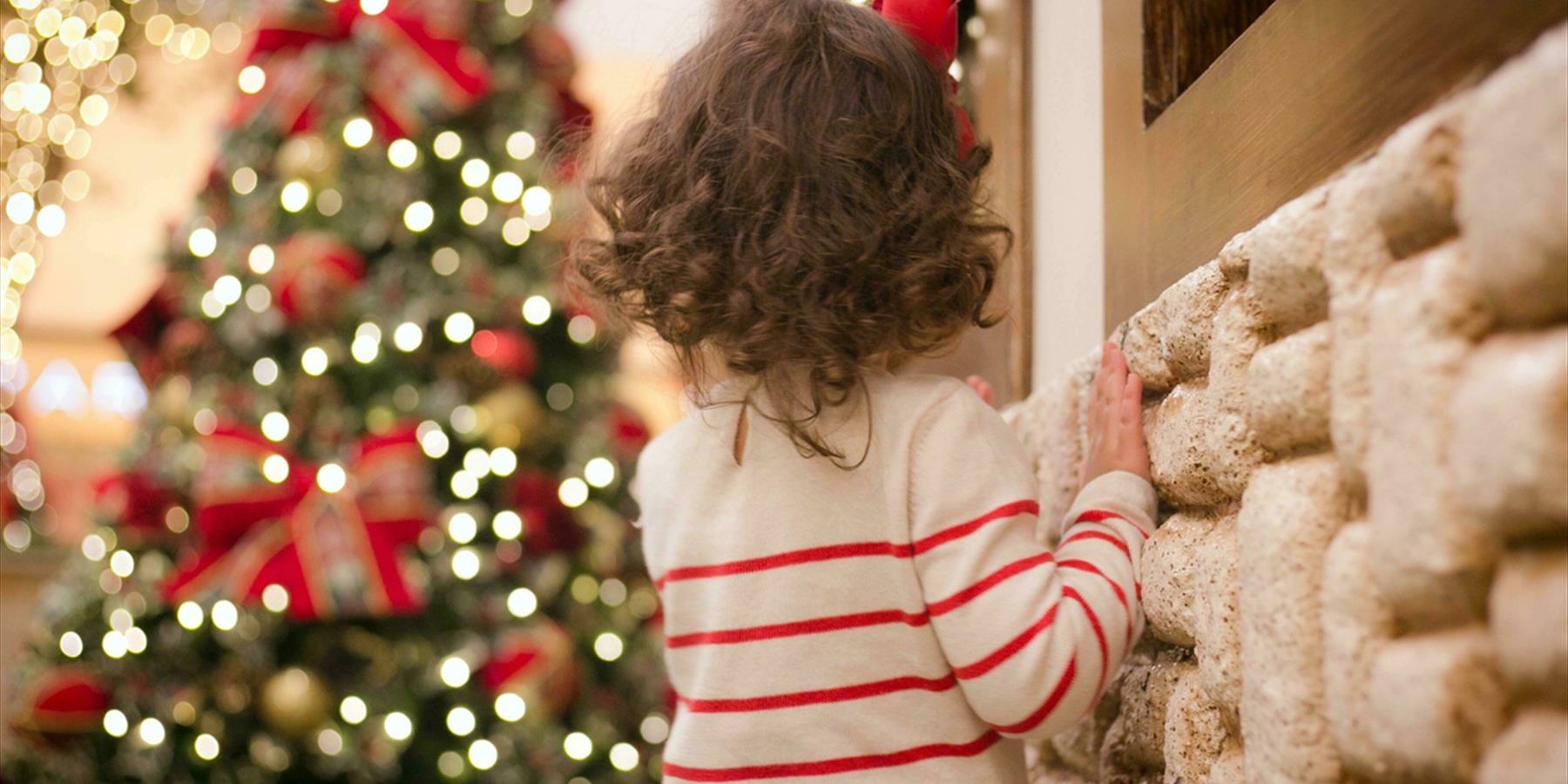 Brown haired child looking at decorated Christmas tree