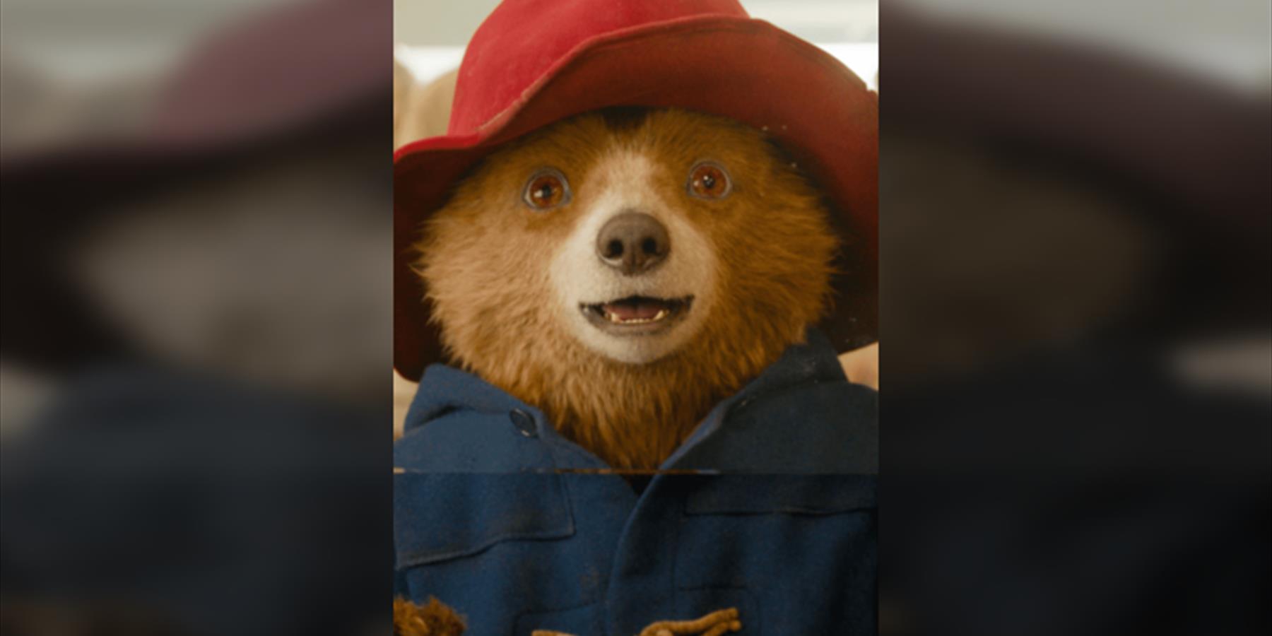 Paddington in Peru