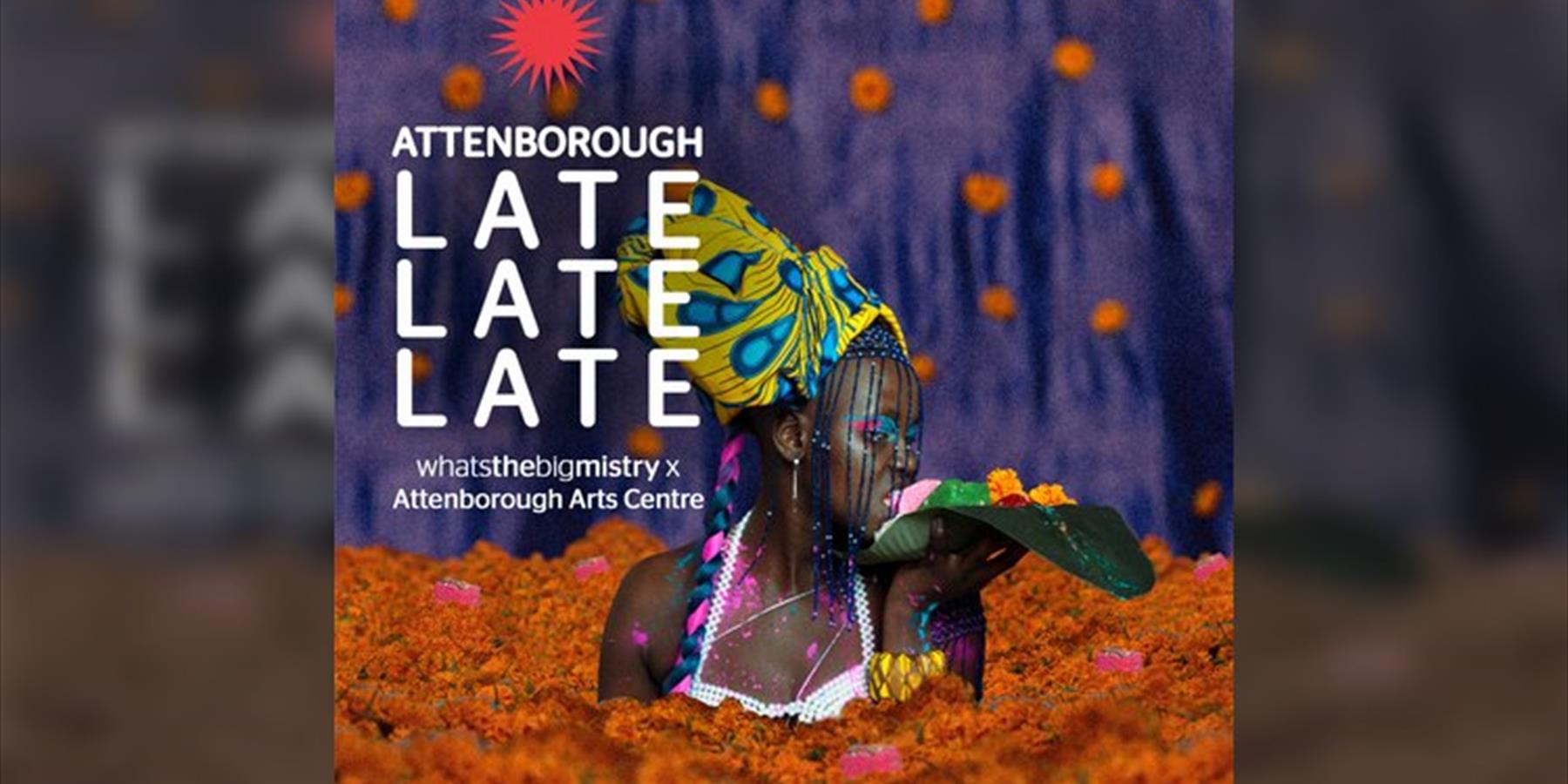 Attenborough Late: whatsthebigmistry x Attenborough Arts Centre