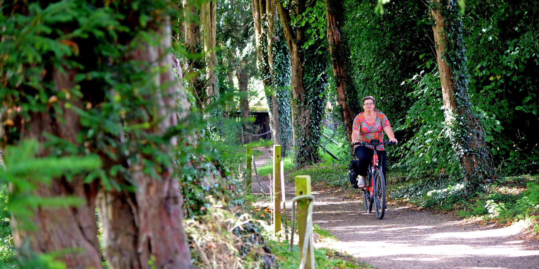 e bike holiday in national forest