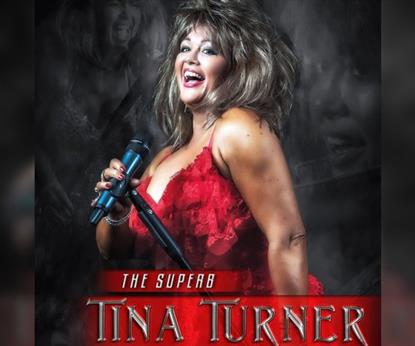 Tina Turner Tribute