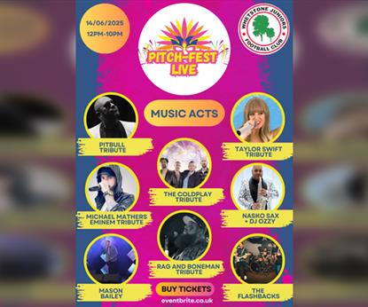 Pitch Fest Live
