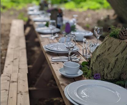 Woodland Feasts at Stoughton Grange