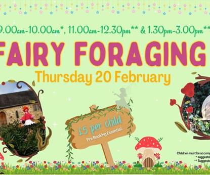 Fairy Foraging