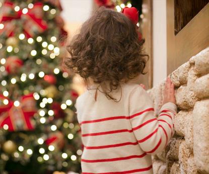 Brown haired child looking at decorated Christmas tree