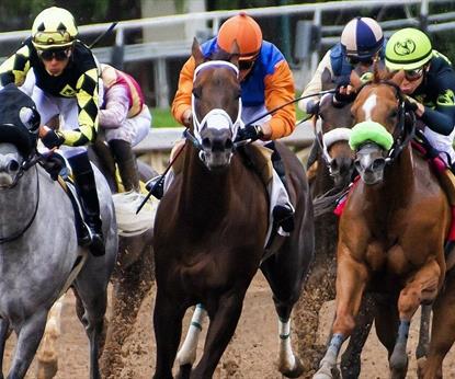 People racing horses