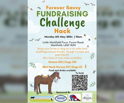 Fundraising Challenge Hack