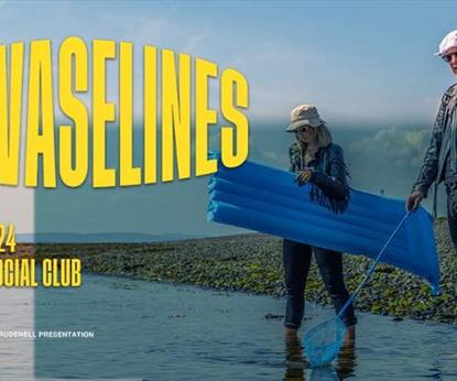 The Vaselines