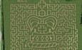 Wistow Maze 2022 Crown