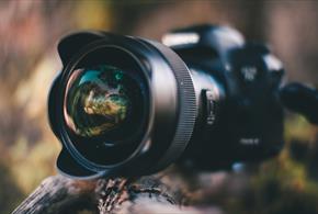 Large camera on wooden branch