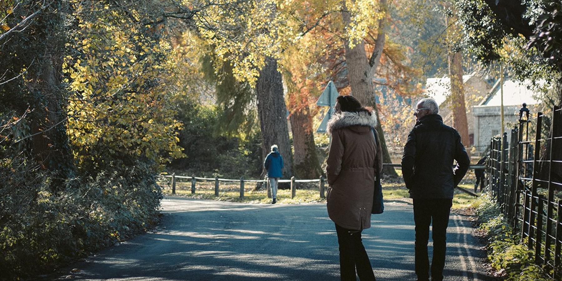 People walking in a park with trees