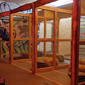 Axe throwing targets in cages