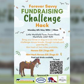 Fundraising Challenge Hack