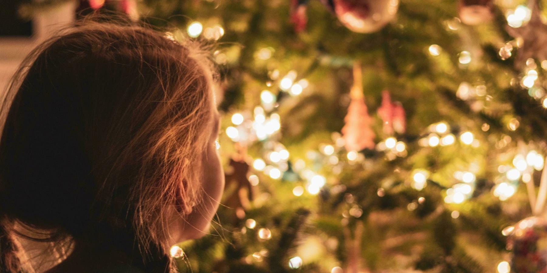 Young child looking at large indoor Christmas tree