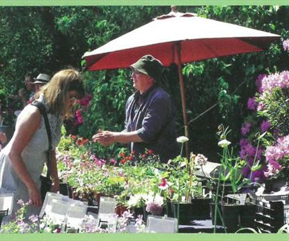 People browsing stalls filled with plants